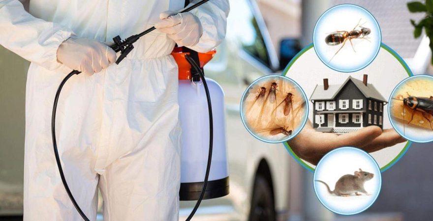 Pınarbaşı Böcek İlaçlama