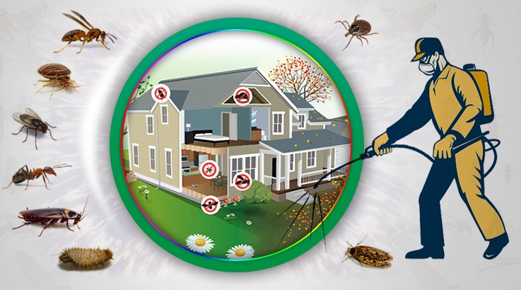 Pınarbaşı Böcek İlaçlama