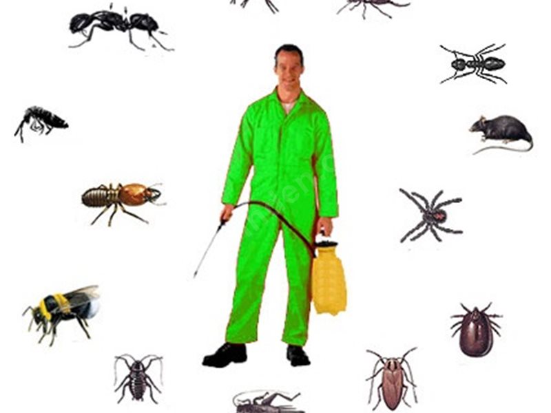 Pınarbaşı Böcek İlaçlama