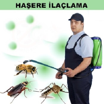 Pınarbaşı Böcek İlaçlama